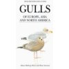 Gulls of Europe, Asia and North America