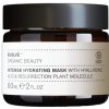 Evolve Organic Beauty Intense Hydrating Mask - 60 ml