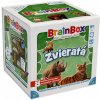 Brainbox Zvieratá