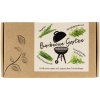 naturkraftwerk Sada semien „Barbecue záhrada“ - 1 sada