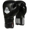 DBX Bushido Boxerské rukavice DBX BUSHIDO B-2v9 Veľkosť: 14 oz