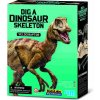 4M Dinosauria kostra - Velociraptor