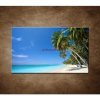Obraz - Pláž s palmami 90x60cm