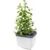 Gusta Garden Herbs Buddy samozavlažovací kvetináč, biely GG-124F10
