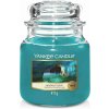 Yankee Candle Klasická vonná sviečka v skle stČervenáná Moonlit Cove 411 g