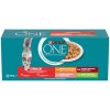 Purina One Sterilcat hovädzí kura losos morka v šťavě 40 x 85 g