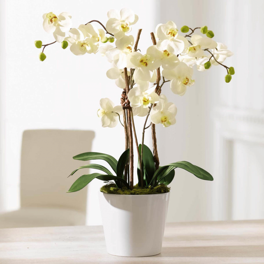 SCHNEIDER SCHNEIDER Umelá orchidea Elegance