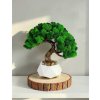 Machovy strom bonsaj 25 cm, prírodná dekorácia pre interiér
