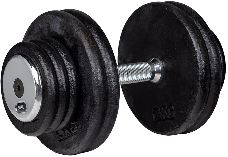 inSPORTline ProfiST Jednoručná činka 30 kg