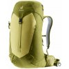 deuter AC Lite 24 linden-cactus 3420824