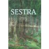 Sestra - Jon Fosse