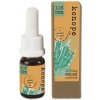 Konope co. 10% CBD v organickom tekvicovom oleji - Široké Spektrum 1000g