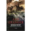 Kdo hledá pravdu? - Granger Ann
