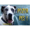 Pozorpes.sk, výstražná tabuľka (Nemecká Doga)