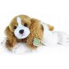 Eco-Friendly Rappa pes Cavalier King Charles spaniel ležiaci 30 cm