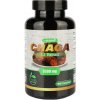 Herbin - Sibírska Čaga - extrakt 7:1 500mg 90 kapsúl