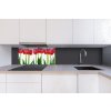 DIMEX | Dibond doska za kuchynskú linku | DBW-08040-058 Tulipány| 80 x 40 cm + Dibond obkladová doska Dimex do kuchyne Tulipányv rozmere 80 x 40 cm + lepidlo zadarmo