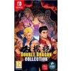 Double Dragon Collection (SWITCH)