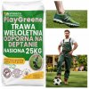 Univerzálna tráva, odolná voči pošliapaniu, 25 kg, samozahusťujúca, 1000 m2