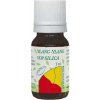 HANUS Silica ylang-ylang 5 ml