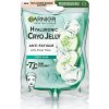 Garnier Skin Naturals Hyaluronic Cryo Jelly chladivá pleťová maska 1 ks