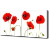 Foto obraz na plátne Maky 100x50 cm