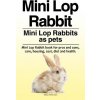 Mini Lop Rabbit. Mini Lop Rabbits as pets. Mini Lop Rabbit book for pros and cons, care, housing, cost, diet and health. Peterson Macy