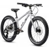 EARLY RIDER Seeker 20 Brushed 2026