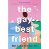 Gay Best Friend (Nicolas DiDomizio)(Brožovaná)