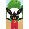CARBOTEX Detský uterák 30/50cm Zajačik Bing, BING236012