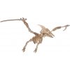 Woodcraft drevené 3D puzzle pterosaurus