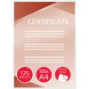 Laminovacie fólie GBC samolepiace A4/250 lesklé 100 ks (3747243)