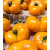 BIO Paradajka Brandywine žlté - Solanum lycopersicum - bio semená paradajok - 7 ks