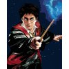 Zuty – Harry Potter a prútik, 40 × 50 cm, bez rámu a bez napnutia plátna 8596530132486