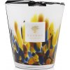 Baobab Collection RAINFOREST – MAYUMBE VONNÁ SVIEČKA 1000 g