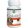 Colafit 5 na kĺby pre psy farebné 50tbl