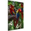 Vertikálny foto obraz akrylový na stenu Papagáje Ara 50x100 cm