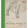 Michelangelo: drawing the divine (Sarah Vowles)(Pevná)