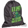LEGO® NINJAGO® Lloyd