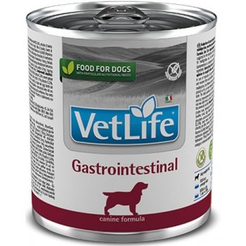 Vet Life dog Gastrointestinal 300 g