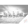 Vymalujsisam.sk Bodkovanie - Americký futbal Farba: Červená, Veľkosť: 40x60cm, Rám: Na kartónovej doske