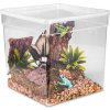 PRIEHĽADNÉ TERÁRIUM FAUNÁRIUM TERRARIO REPTIBOX 19X19X19CM PRE PLAZY