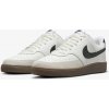 Pánske Sneakersy nízke NIKE COURT VISION LOW FQ8075-133 – Béžová