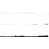 Daiwa Exceler Jiggerspin 3,05 m 3-18 g 2 diely