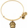 Dámsky Náramok ALEX AND ANI CBD14POLRG (20CM )