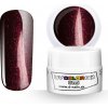 D-Nails Farebný LED Gél a UV Gél - ML016 - Moulin Rouge - 5ml
