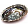 Nefertitis Paua mušle leštená vykurovacia miska 14 - 16 cm NF55372 - cca 14 až 16 cm