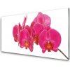 Nástenný panel Kvety rastlina 100x50 cm