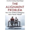 Alignment Problem