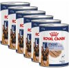 Royal Canin Maxi Adult konzerva 6 x 410 g